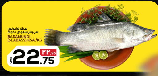 available at السعودية in قطر - الريان