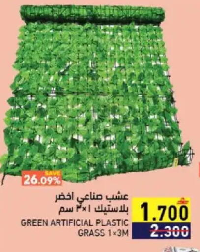available at رامز in عُمان - صُحار‎