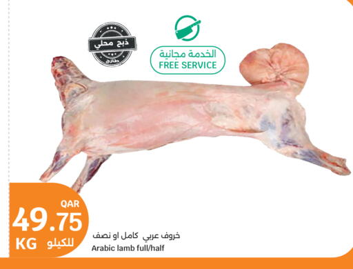 available at سيتي هايبرماركت in قطر - الريان
