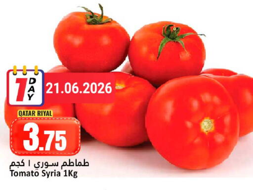 Tomato from Qatar Syria available at دانة هايبرماركت in قطر - الشحانية
