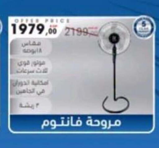 available at المحلاوي ماركت in Egypt - القاهرة