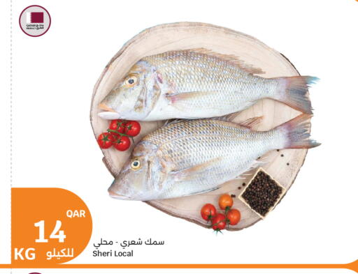 available at سيتي هايبرماركت in قطر - أم صلال