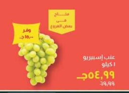 available at خير زمان in Egypt - القاهرة