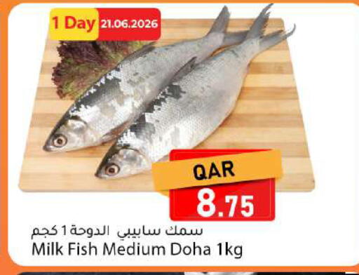 available at Dana Market in Qatar - Umm Salal
