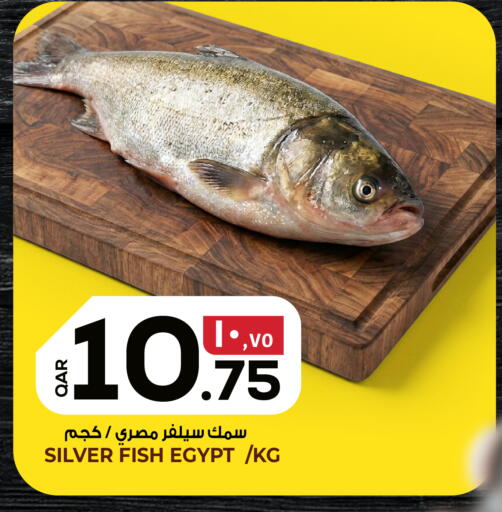 available at السعودية in قطر - الريان