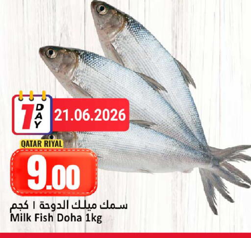 available at دانة هايبرماركت in قطر - أم صلال