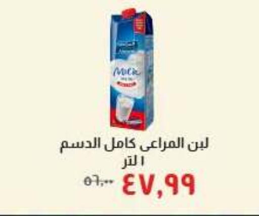 available at خير زمان in Egypt - القاهرة