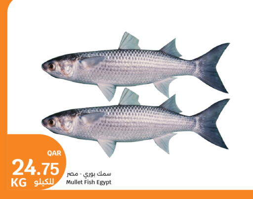 available at سيتي هايبرماركت in قطر - أم صلال