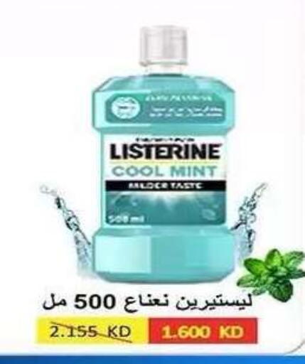 Mint available at Al Fahaheel Co - Op Society in Kuwait - Ahmadi Governorate