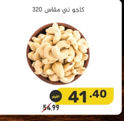 available at بن عفيف in مملكة العربية السعودية, السعودية, سعودية - المنطقة الشرقية