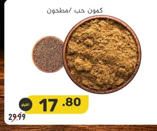 available at بن عفيف in مملكة العربية السعودية, السعودية, سعودية - المنطقة الشرقية