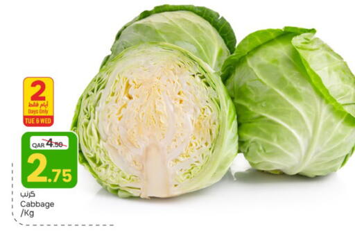 Cabbage available at باريس هايبرماركت in قطر - الريان