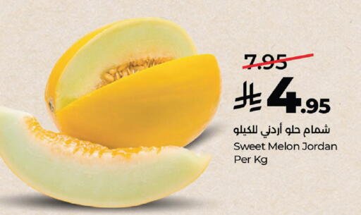 Melon from Jordan available at لولو هايبرماركت in مملكة العربية السعودية, السعودية, سعودية - الرياض