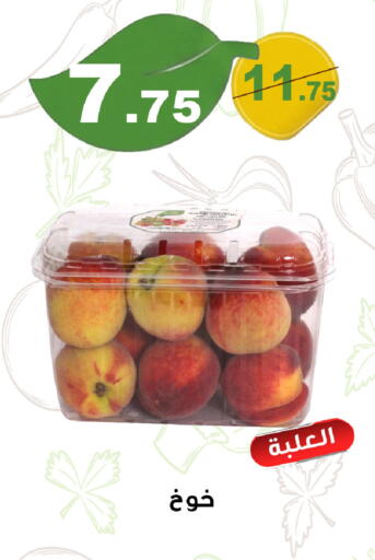 available at Smart Shopper in KSA, Saudi Arabia, Saudi - Khamis Mushait