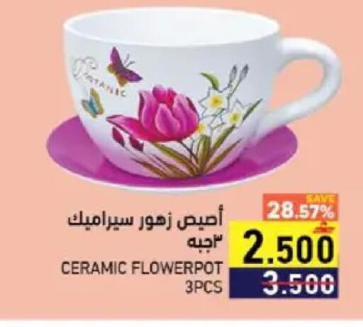 available at رامز in عُمان - صُحار‎