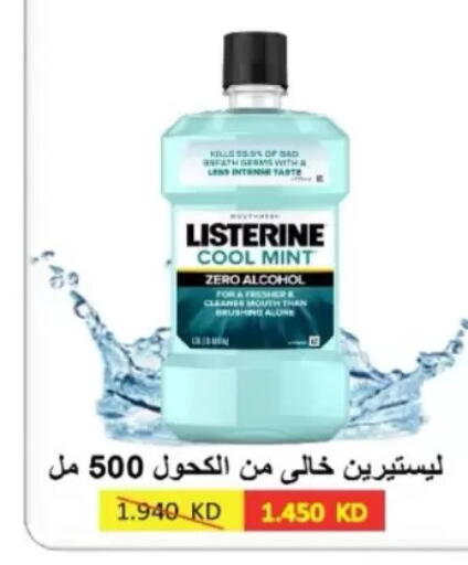 Mint available at جمعية شمال غرب الصليبيخات in الكويت - مدينة الكويت
