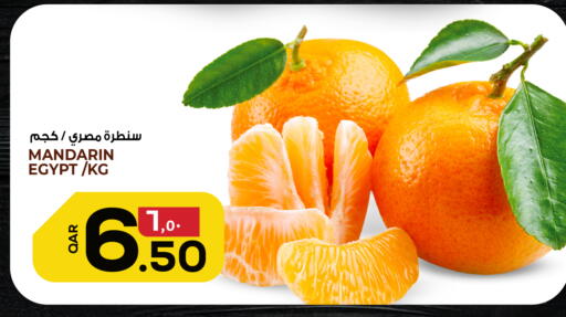 Mandarin from Egypt available at السعودية in قطر - الريان