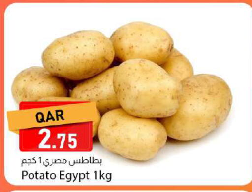 Potato from Egypt available at دانا ماركت in قطر - الشحانية