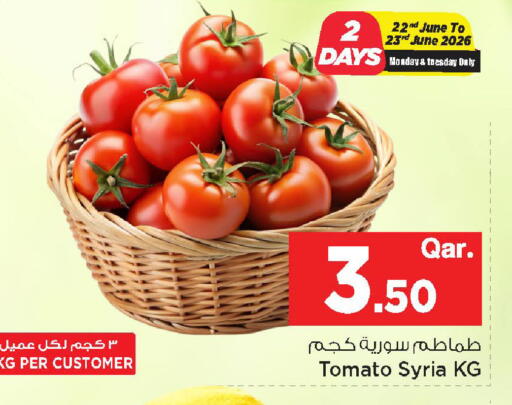 Tomato from Syria available at مارك & سيف in قطر - الشحانية