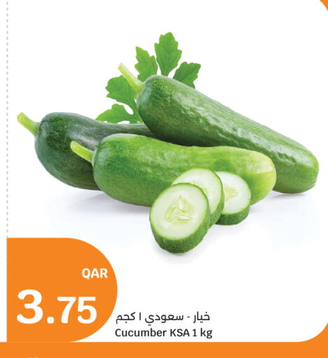 Cucumber available at سيتي هايبرماركت in قطر - الشحانية