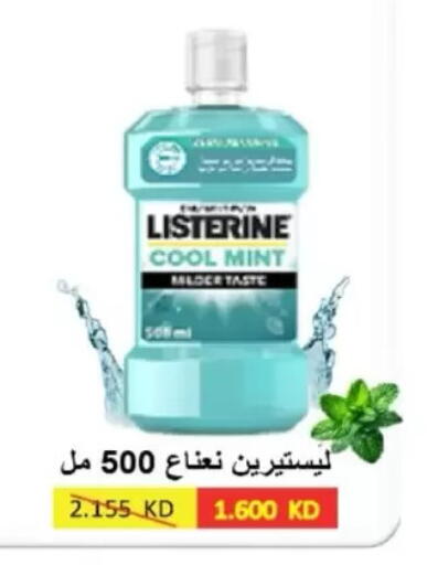 Mint available at جمعية شمال غرب الصليبيخات in الكويت - مدينة الكويت