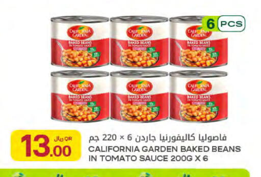 Tomato available at شركة الميرة للمواد الاستهلاكية in قطر - الوكرة