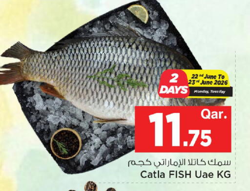 available at مارك & سيف in قطر - الشحانية