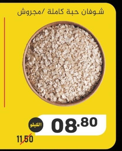 available at بن عفيف in مملكة العربية السعودية, السعودية, سعودية - المنطقة الشرقية