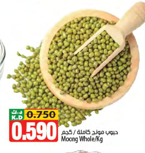 Mango available at مانجو هايبرماركت in الكويت - مدينة الكويت