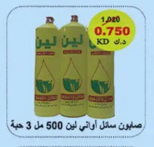 available at Hateen Co-Op Society in Kuwait - Kuwait City