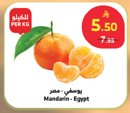 Mandarin from Egypt available at Al Raya in KSA, Saudi Arabia, Saudi - Abha