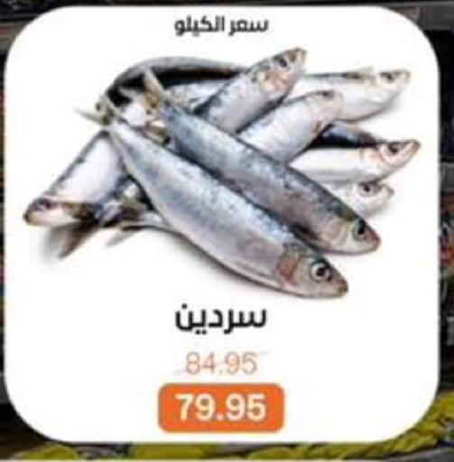 available at بيت الجملة in Egypt - القاهرة