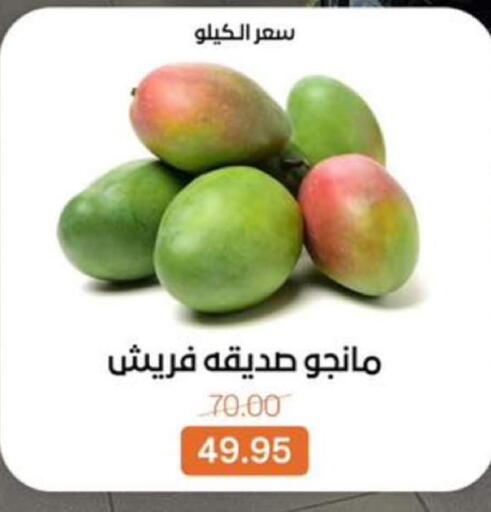 available at بيت الجملة in Egypt - القاهرة