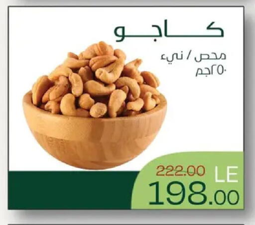 available at رويال هاوس in Egypt - القاهرة