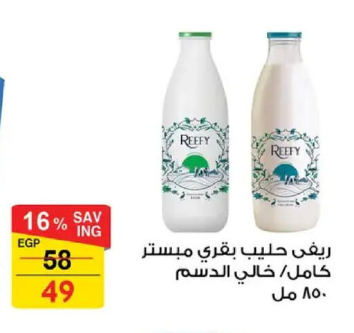available at فتح الله in Egypt - القاهرة