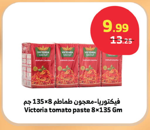 Tomato available at الراية in مملكة العربية السعودية, السعودية, سعودية - جدة