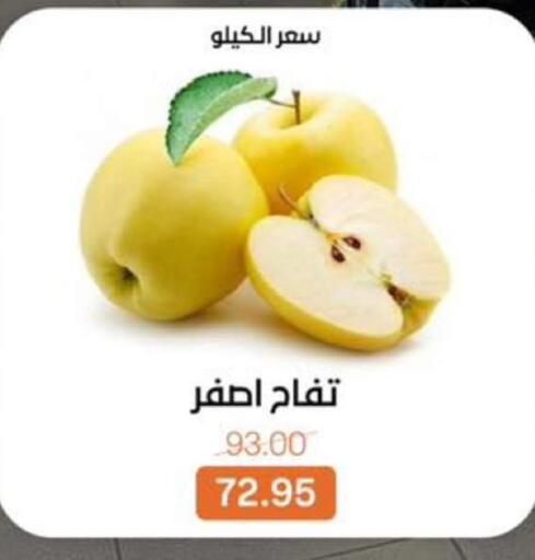 available at بيت الجملة in Egypt - القاهرة