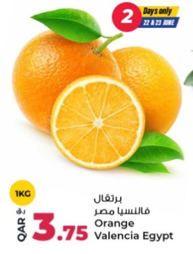 Orange from Egypt available at روابي هايبرماركت in قطر - الشمال