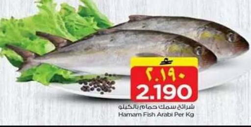 available at نستو هايبر ماركت in عُمان - صلالة