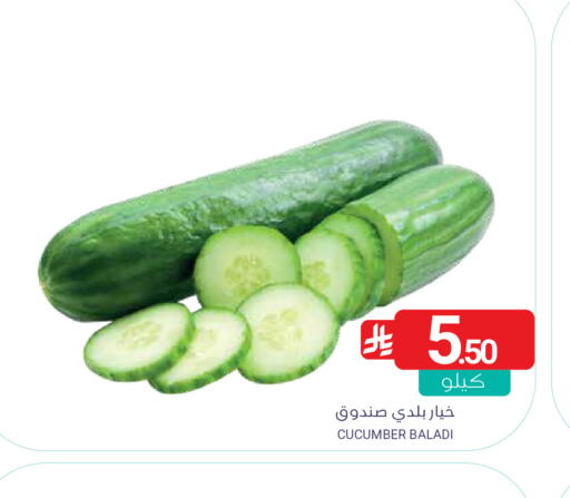 Cucumber available at اسواق المنتزه in مملكة العربية السعودية, السعودية, سعودية - المنطقة الشرقية