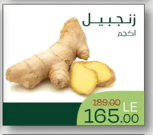 available at رويال هاوس in Egypt - القاهرة