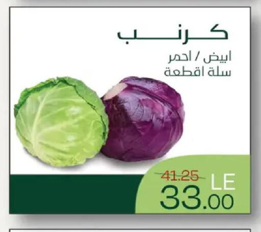 available at رويال هاوس in Egypt - القاهرة