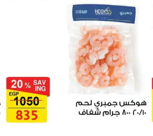 available at فتح الله in Egypt - القاهرة