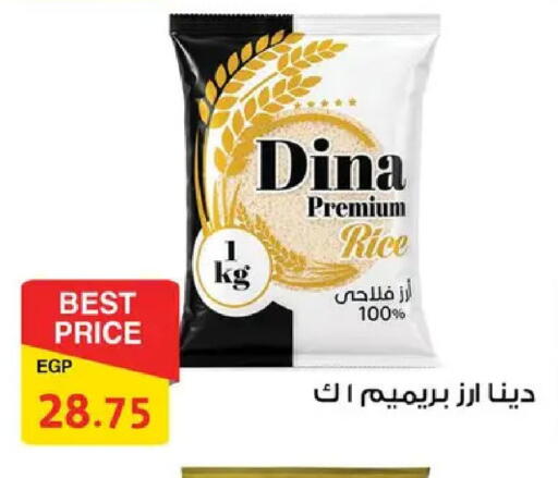 available at فتح الله in Egypt - القاهرة