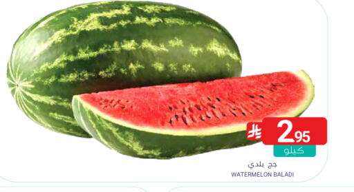 Watermelon available at اسواق المنتزه in مملكة العربية السعودية, السعودية, سعودية - المنطقة الشرقية