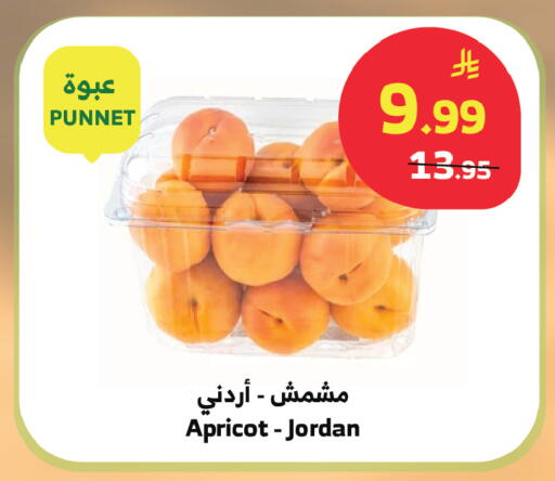 Apricot from Jordan available at Al Raya in KSA, Saudi Arabia, Saudi - Abha