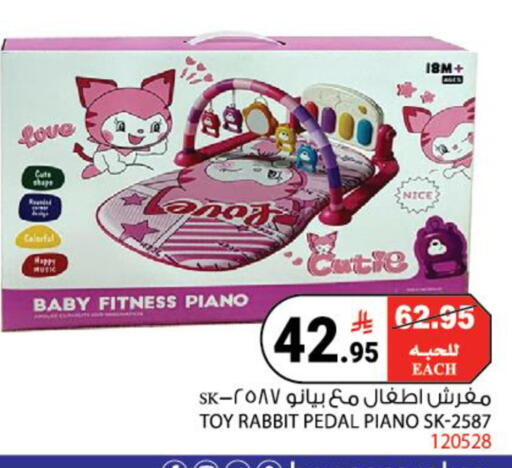 available at House Care in KSA, Saudi Arabia, Saudi - Mecca