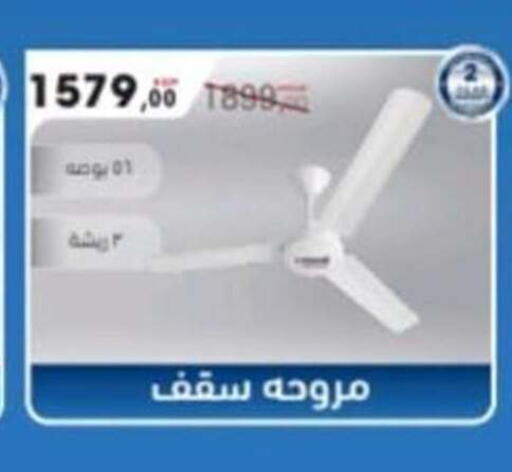 available at El mhallawy Sons in Egypt - Cairo