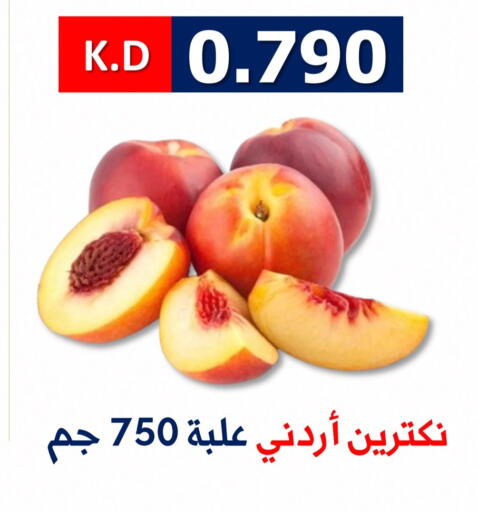 available at جمعية ضاحية صباح الناصر التعاونية in الكويت - مدينة الكويت