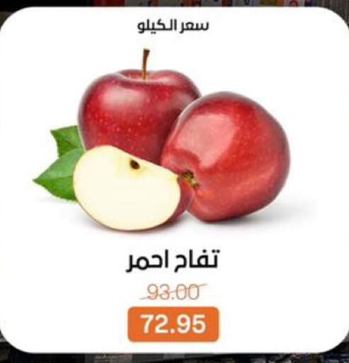 available at بيت الجملة in Egypt - القاهرة